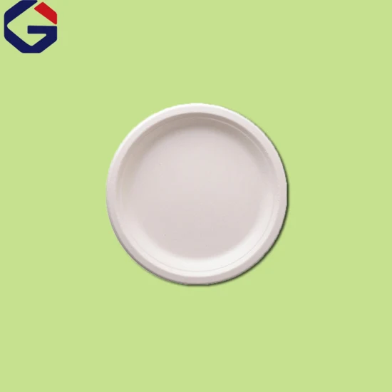 Manufacturer Customize High Quality Takeaway Plates Eco Friendly Round Recyclable Divided Food Packaging Container Disposable Paper Plate